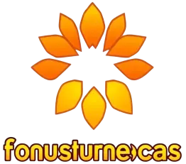 BonusFortuneCas